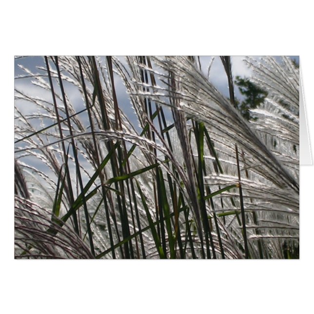 Mönster Hälsningskort (Framsidan Horizontal)