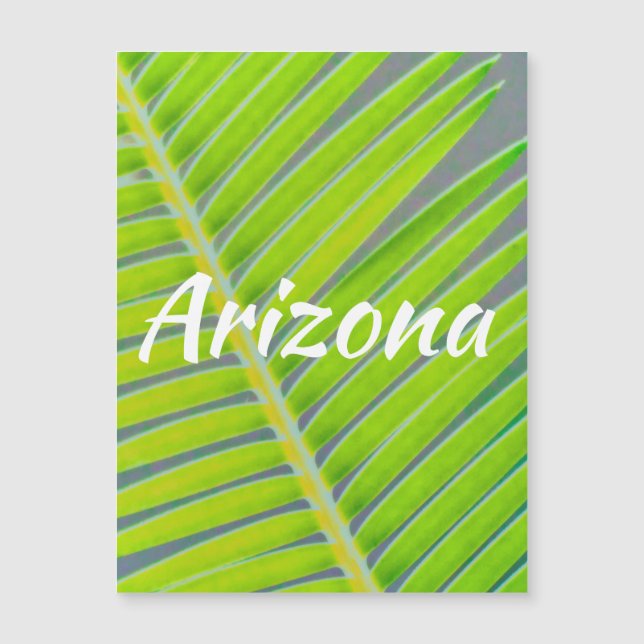 Mönster i Handflatan, Arizona (Framsida)