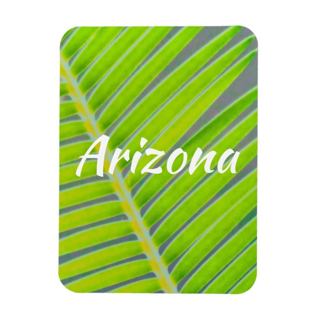 Mönster i Handflatan, Arizona Magnet (Vertikal)