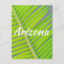 Mönster i Handflatan, Arizona Vykort