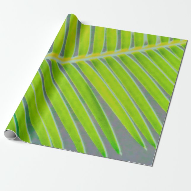 MÖNSTER i HANDFLATAN Presentpapper (Utrullad)