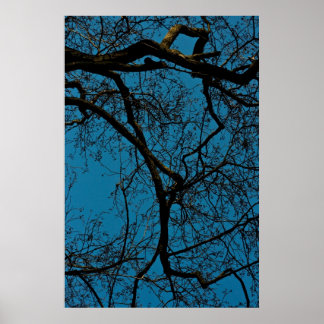MÖNSTER i HIMLAR Poster