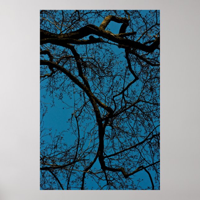 MÖNSTER i HIMLAR Poster (Framsidan)