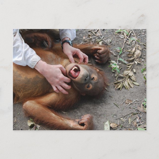 Monster Movie Alien Attack Vykort (Framsida)