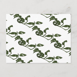 Monstera Adanosii ostblocket mönster grönt Vykort