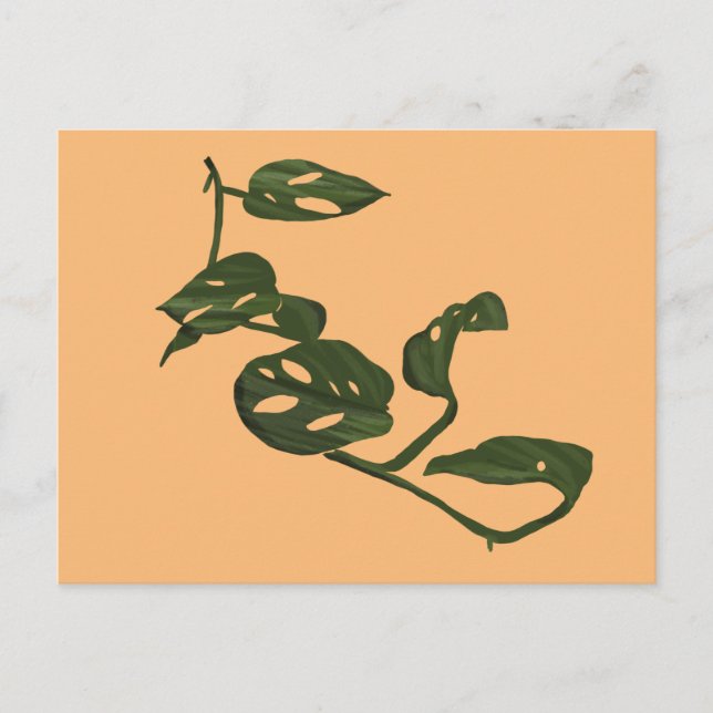Monstera Adanosii osthyllning Illustration Grön Vykort (Framsida)