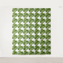 Monstera Albo Gobeläng — Stor Sällsynt Variation