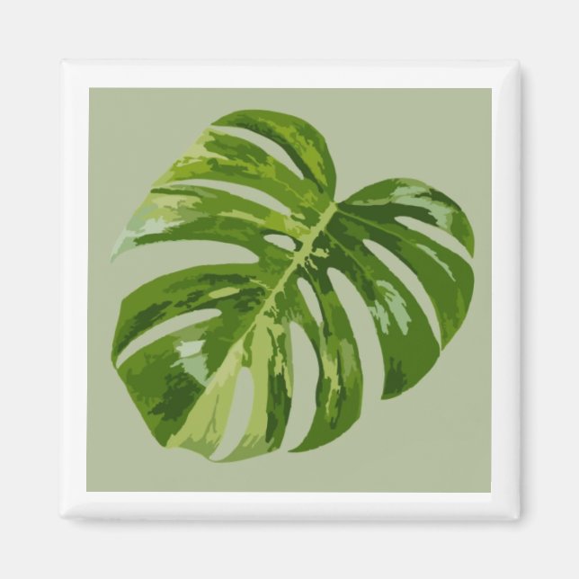 Monstera Albo Hero Leaf Magnet — Rare Variegation  (Framsidan)