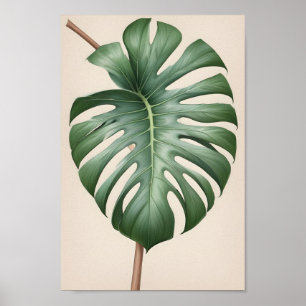Monstera alboblomma, vacker jordisk poster