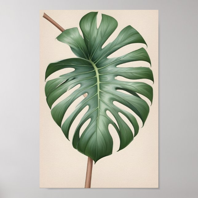 Monstera alboblomma, vacker jordisk poster (Framsidan)