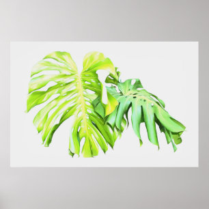 Monstera Artistic Löv Study Poster