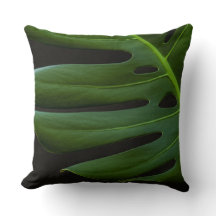 Monstera blad närbild och personlig