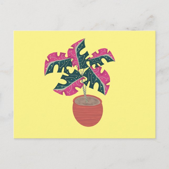 Monstera brokig rosa och grön krukväxt vykort (Framsida)