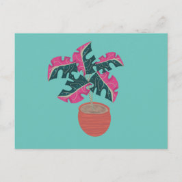 Monstera brokig rosa och grön krukväxt vykort