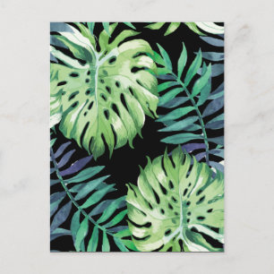 Monstera Deliciosa Hawaiian Island Tropikernas Löv Vykort