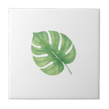 Monstera Gren Blad