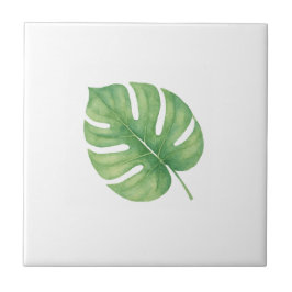 Monstera Gren Leaf Kakelplatta