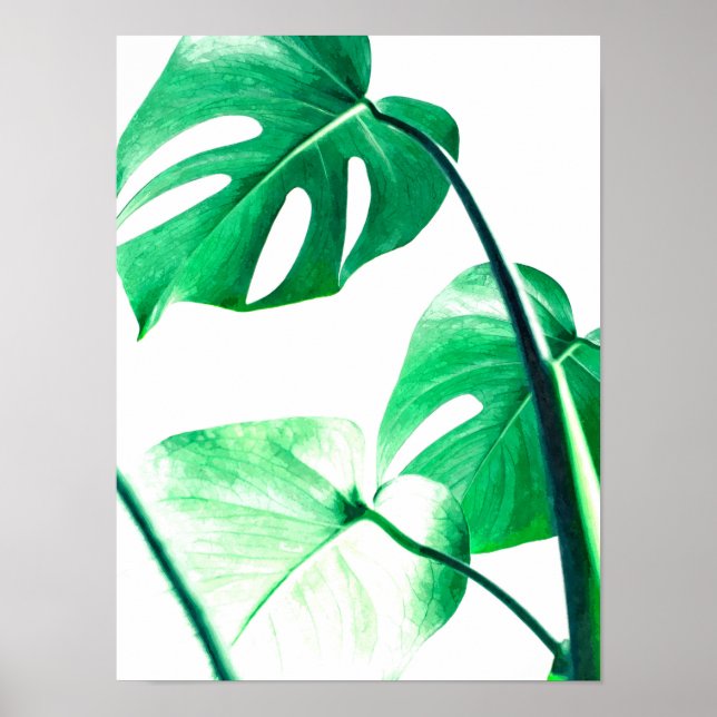 Monstera handflatan lämnar tropiska moderna vatten poster (Framsidan)