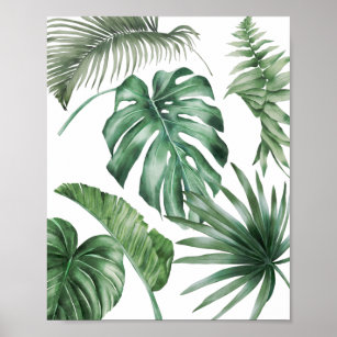 Monstera Handflatan Löv Tropical Modern Watercolor Poster