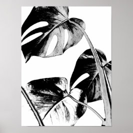 Monstera handflatan löv, tropiska svarta och vita poster