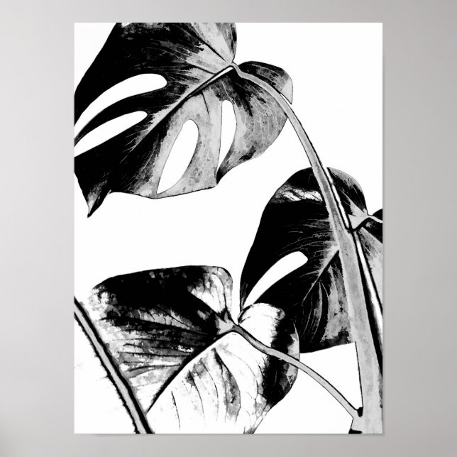 Monstera handflatan löv, tropiska svarta och vita poster (Framsidan)