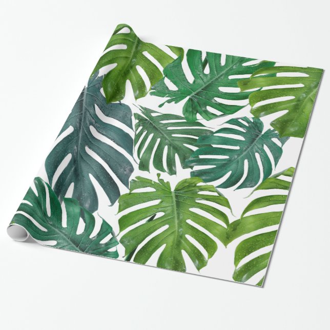 Monstera Handflatan Tropical Grönt Löv Presentpapper (Utrullad)
