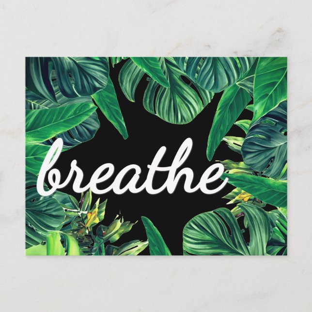 Monstera Law of Attraction Överflödstillstånd Affi Vykort (Framsida)