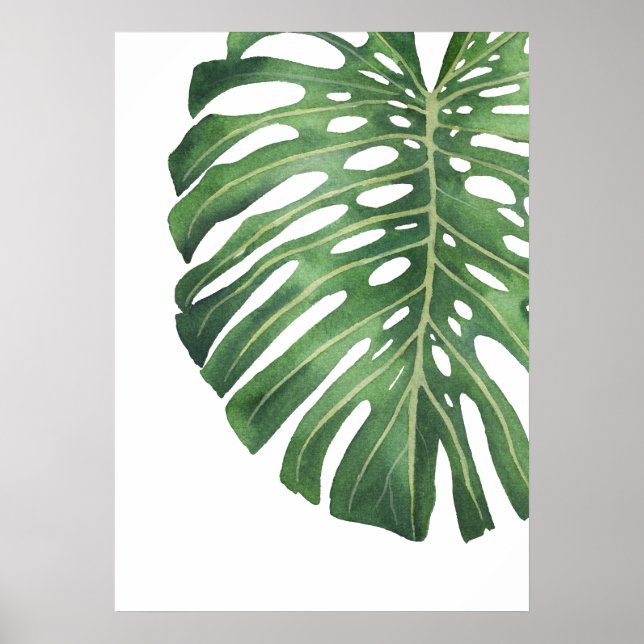 Monstera Löv 6 Poster (Framsidan)