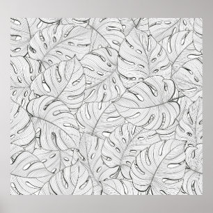 Monstera Löv Black White Mönster Poster