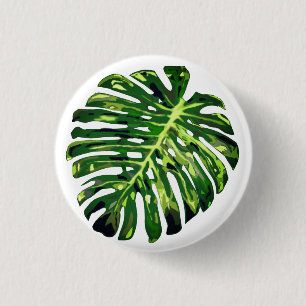 Monstera Löv-knapp Knapp