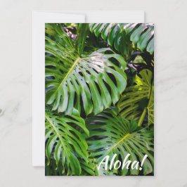 Monstera Löv, Limahuli Gardens, Kauai, Hawaii Inbjudningar
