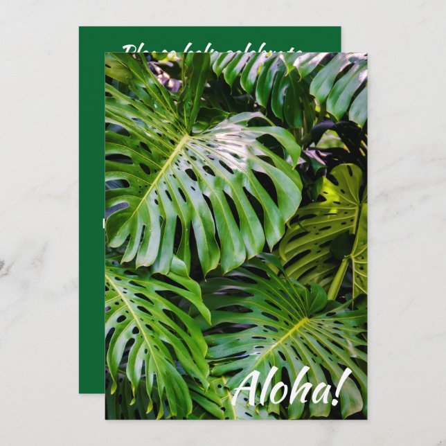 Monstera Löv, Limahuli Gardens, Kauai, Hawaii Inbjudningar (Fram/baksida)