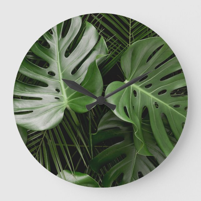 Monstera löv, lyxtropiskt utseende. stor klocka (Framsida)