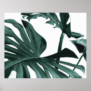 Monstera Löv Poster