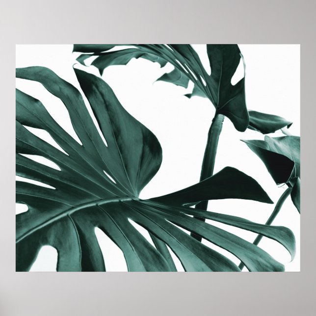 Monstera Löv Poster (Framsidan)