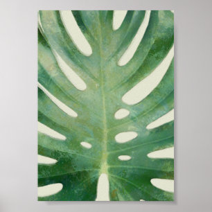 Monstera löv poster