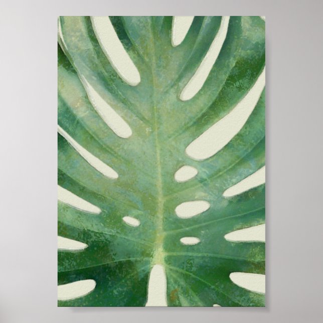 Monstera löv poster (Framsidan)
