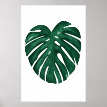 Monstera Löv Tropical Plant