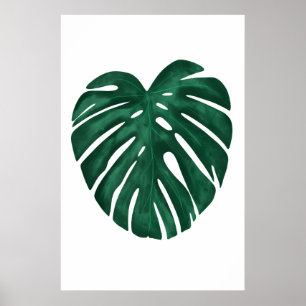 Monstera Löv Tropical Plant Poster