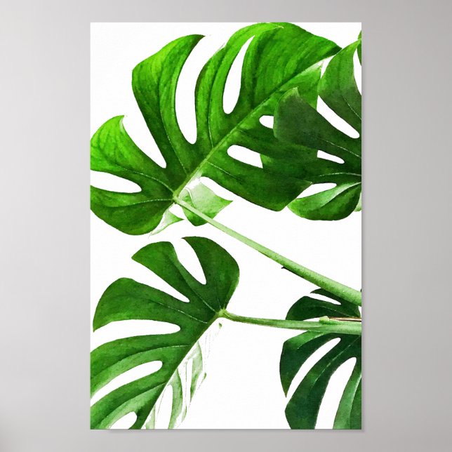 Monstera löv vattenfärgsmålning #5 poster (Framsidan)