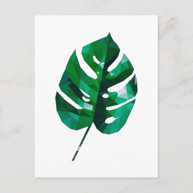 Monstera Löv vykort (Framsida)