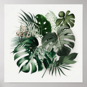 Monstera Lövs Art-utskrift Poster