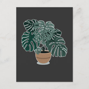 Monstera Plant BeSnyval Houseplant Vykort
