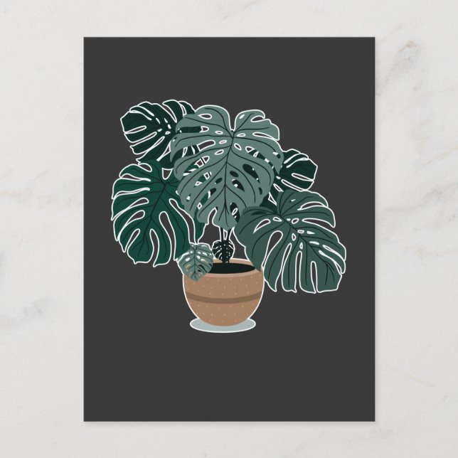 Monstera Plant BeSnyval Houseplant Vykort (Framsida)