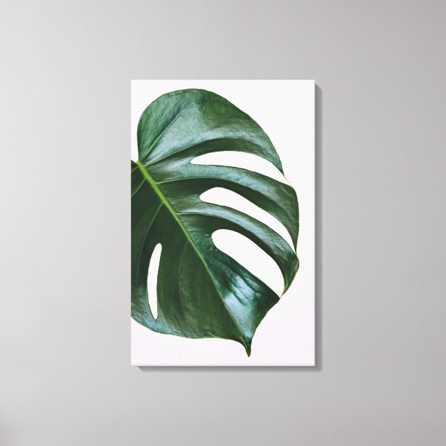 Monstera Tropical Löv Canvastryck (Framsida)