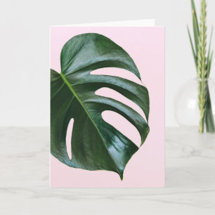 Monstera Tropical Löv Kort