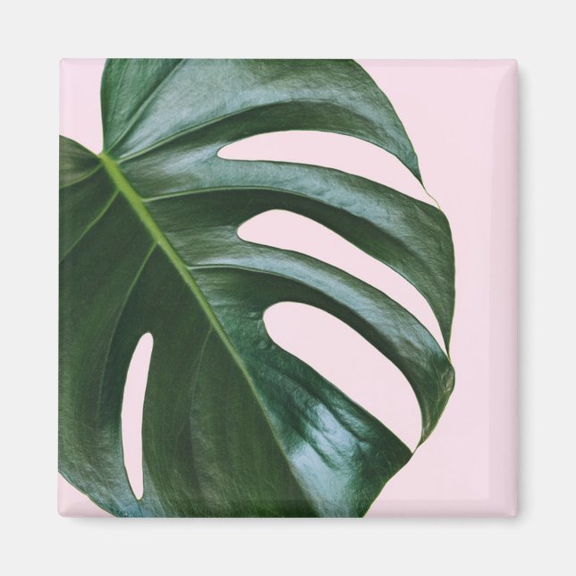 Monstera Tropical Löv Magnet (Framsidan)
