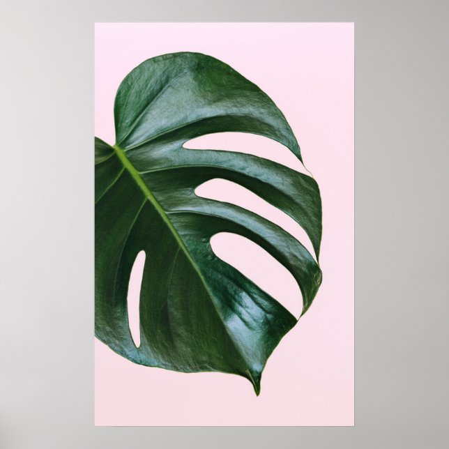 Monstera Tropical Löv Poster (Framsidan)