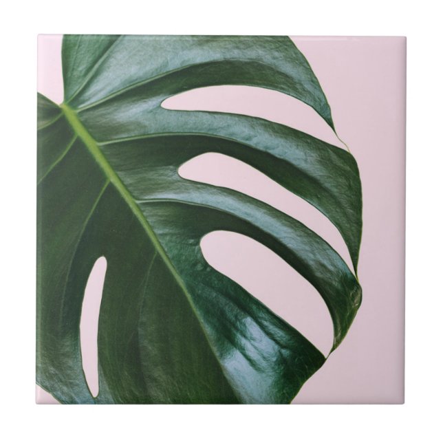 Monstera tropiskt löv kakelplatta (Framsidan)