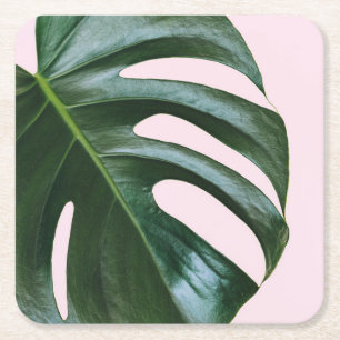 Monstera tropiskt löv underlägg papper kvadrat